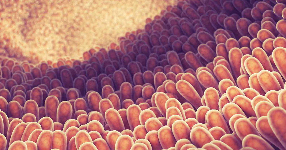 Microbioma e microbiota - EIDON salus