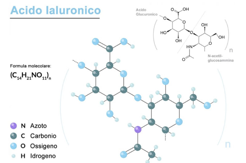 Biotecnologie - EIDON salus