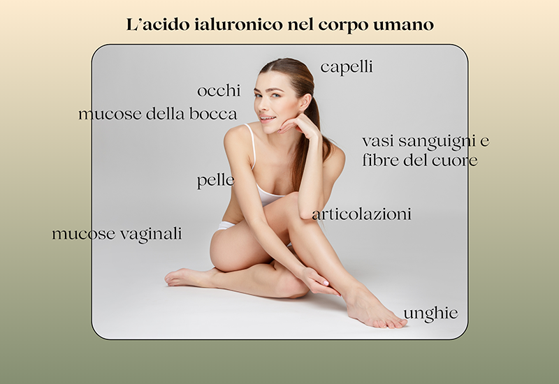 Acido ialuronico nel corpo umano