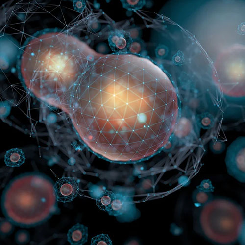 Approfondisci Biotecnologie