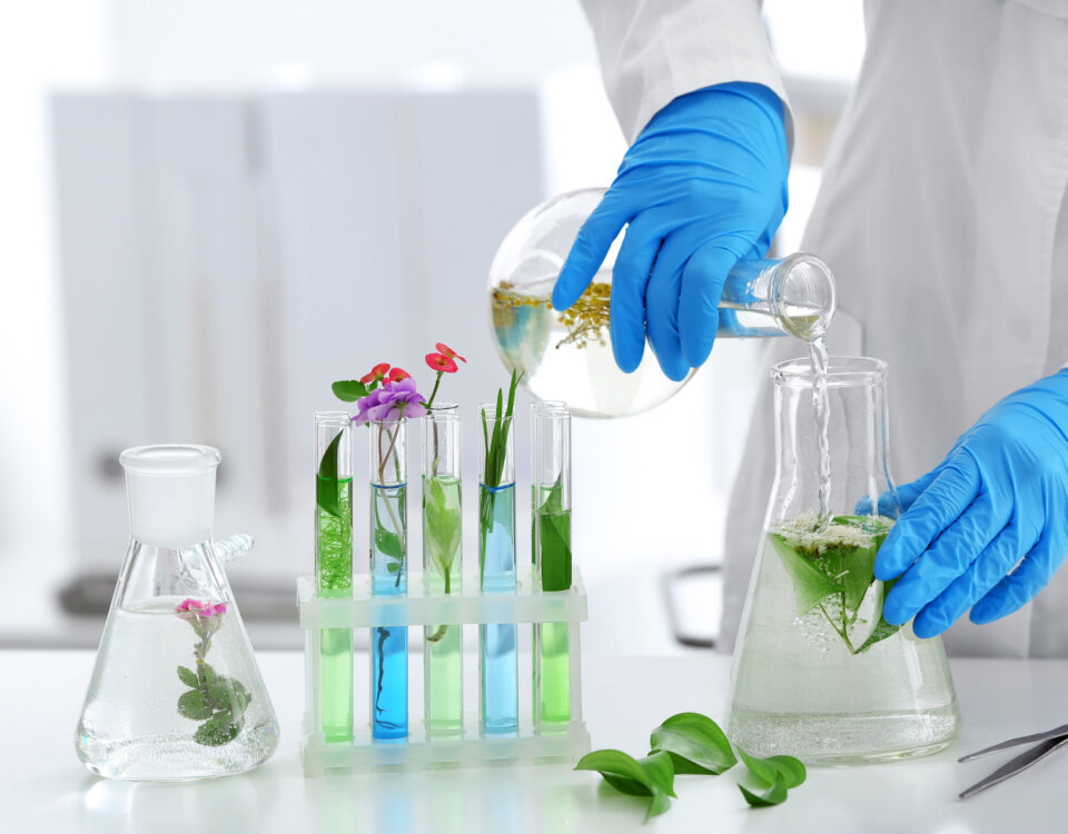 nutraceutica futuro