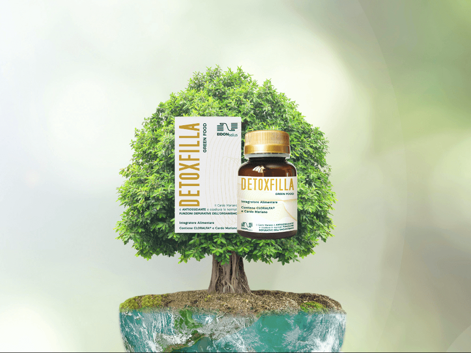 detoxfilla