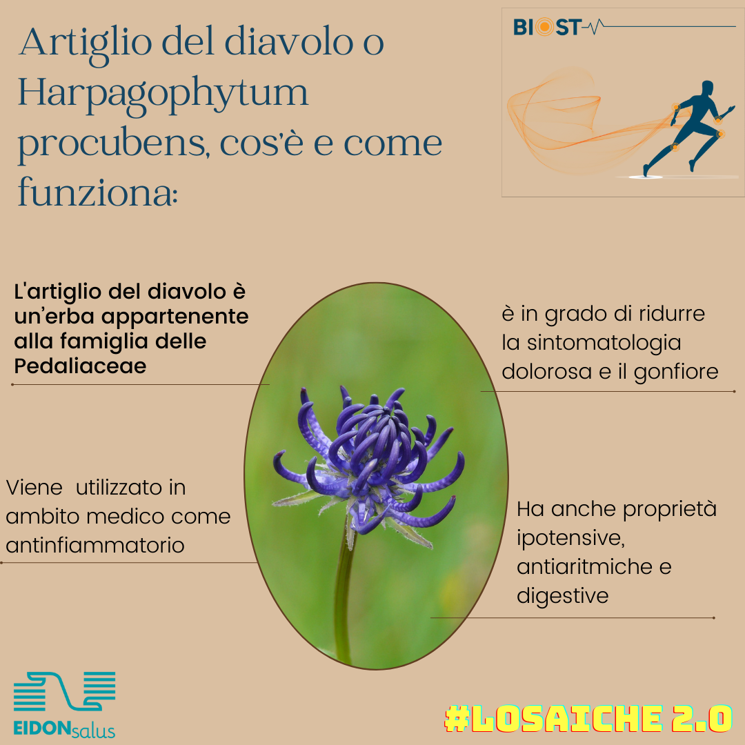 biost dettaglio