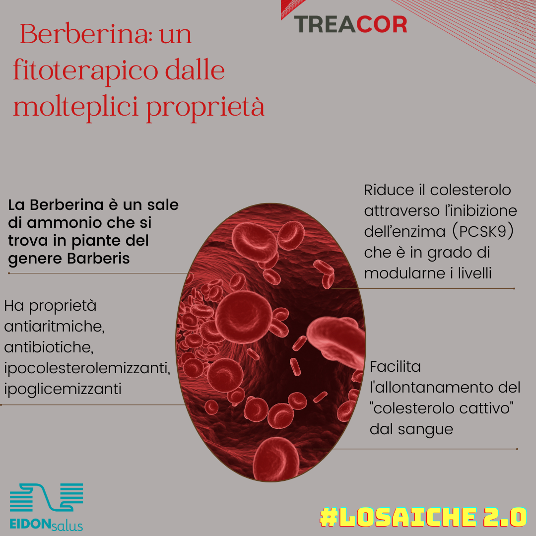 dettaglio treacor