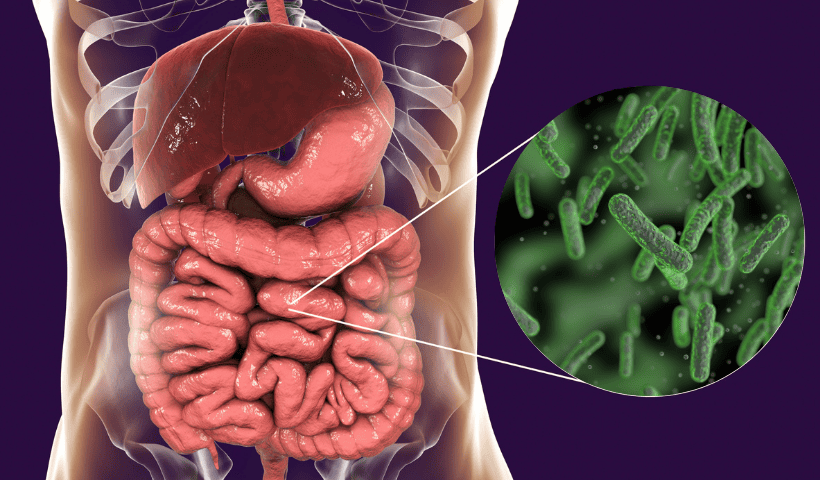 probiotici e fermenti lattici