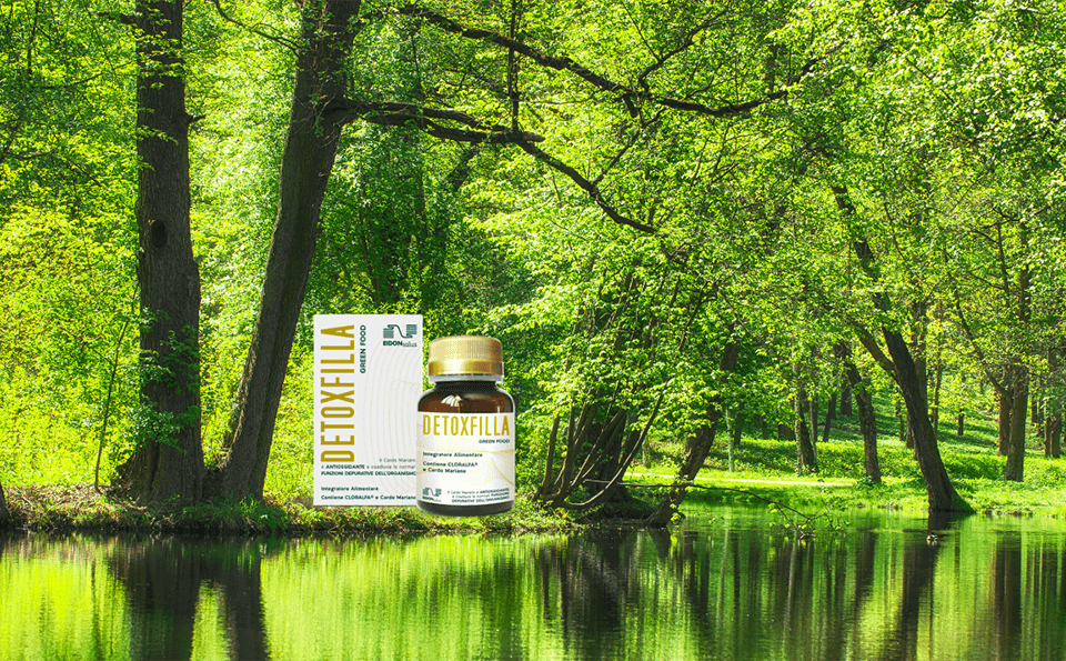 Cloralfa (Clorofilla + Alfa Alfa) - Detoxfilla - EIDON salus