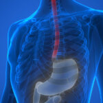 Microbioma dell'esofago - EIDON salus