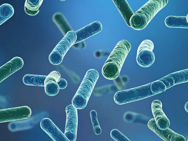 Probiotici