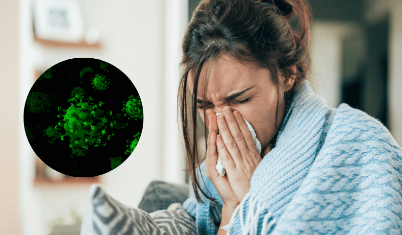 antivirali naturali come usarli