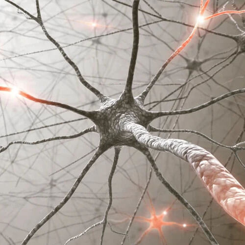 Rete neurale