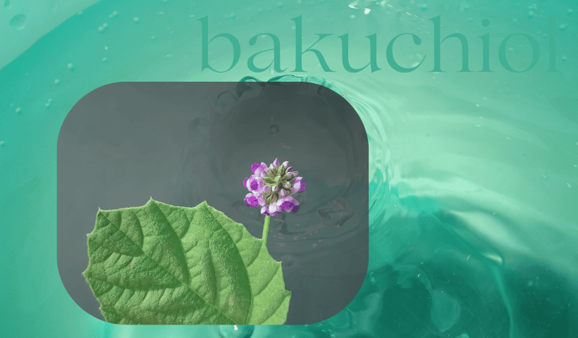 Bakuchiol: cos’è e perché viene definito l’alternativa vegetale al retinolo