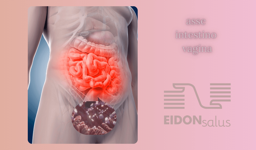 asse intestino vagina